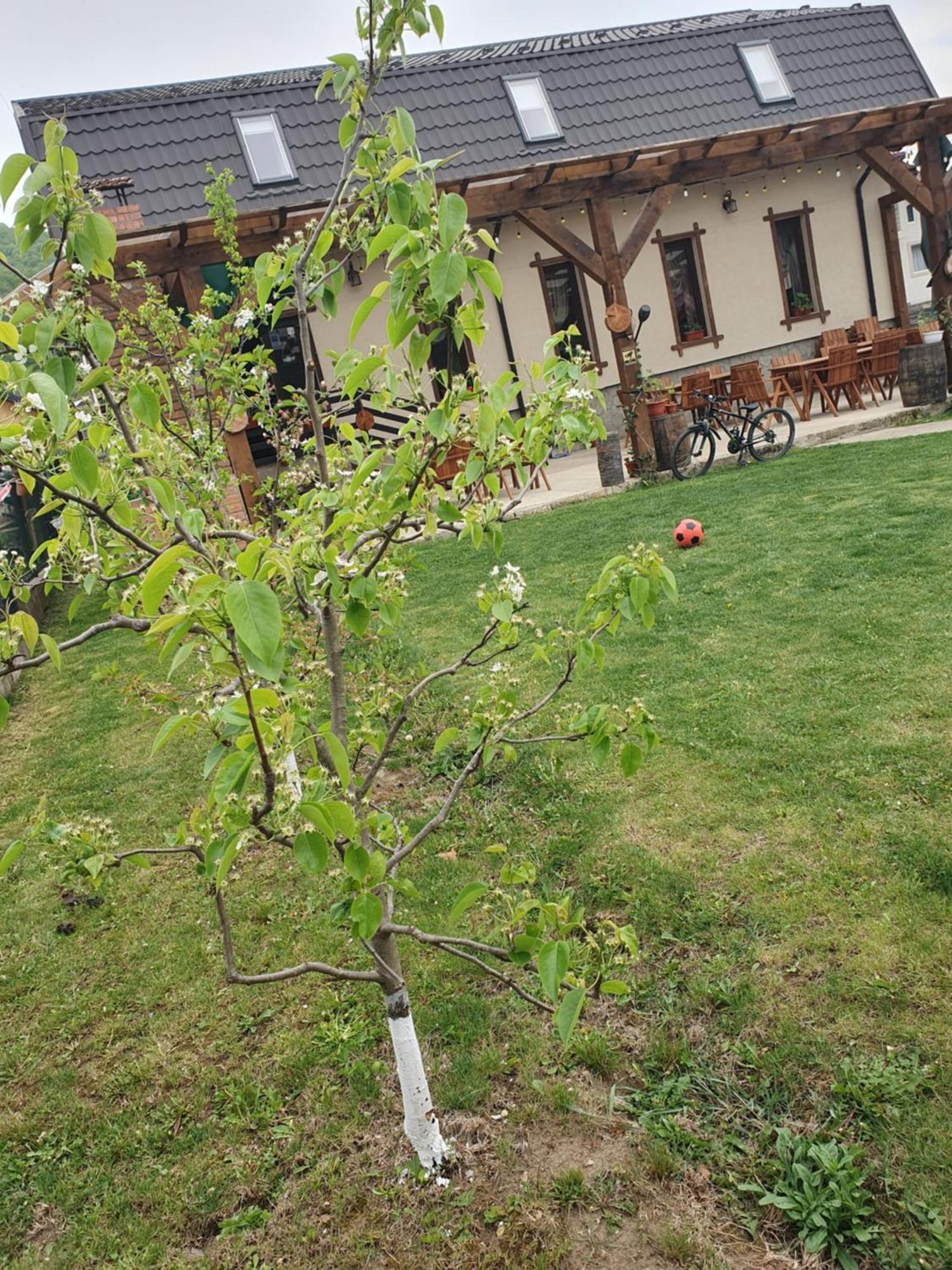 Magic Rooms Gura Teghii Экстерьер фото