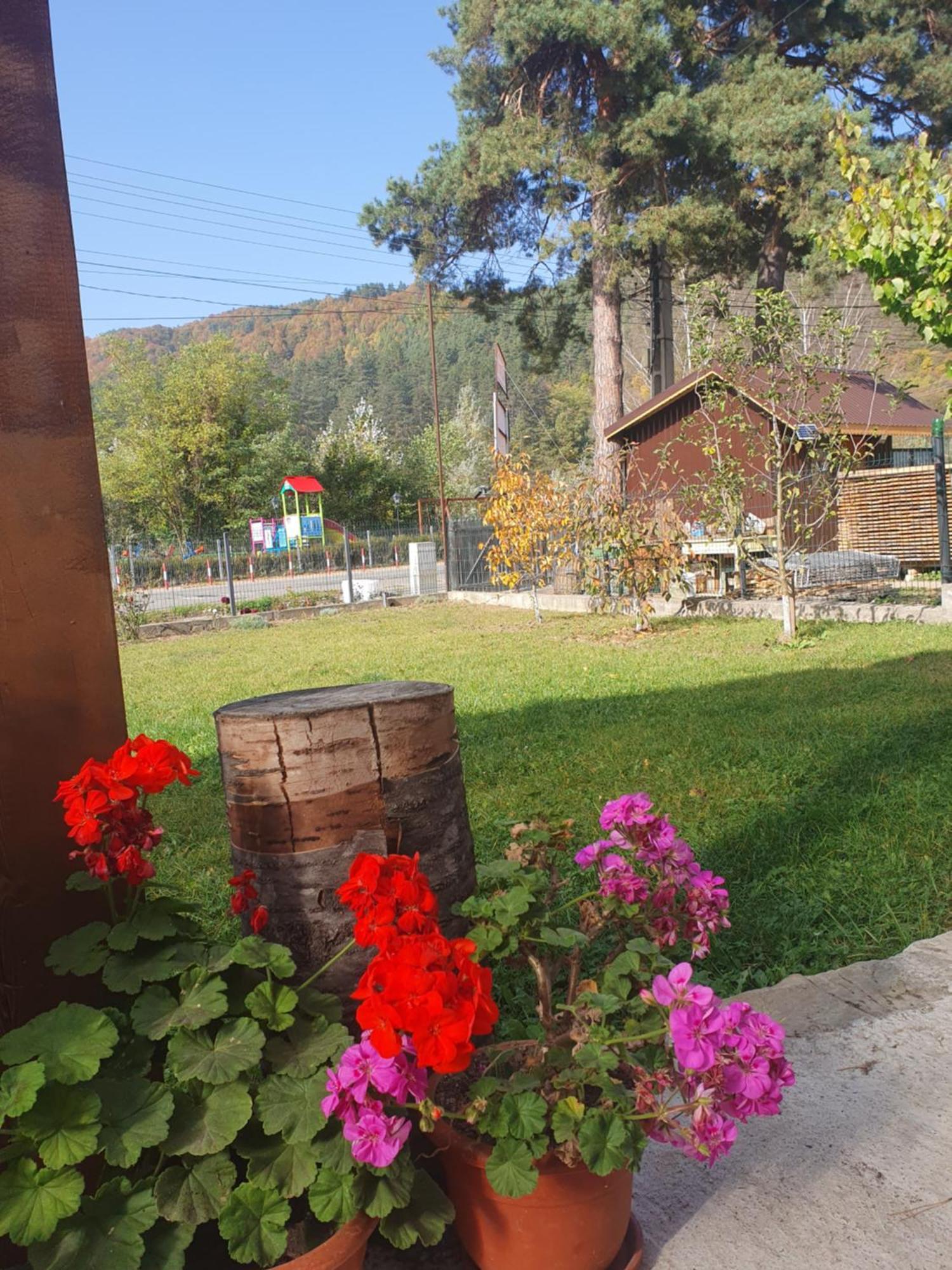 Magic Rooms Gura Teghii Экстерьер фото